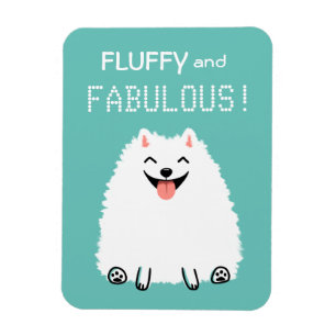 Niedlicher weißer Spitz, flüssig und fein Magnet