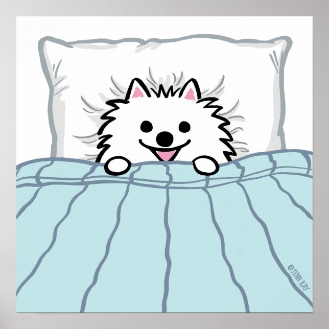 Niedlicher weißer Spitz Hund im Bett getupft Poster (Vorne)