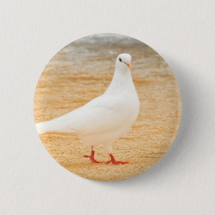 Niedlicher weißer Tauben-Vogel Button