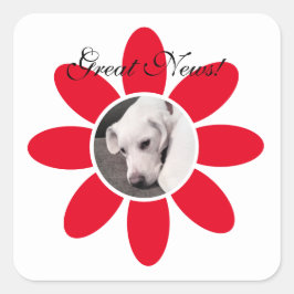 Niedlicher weißer Welpenhund in Sweet Red Blume Fr Quadratischer Aufkleber