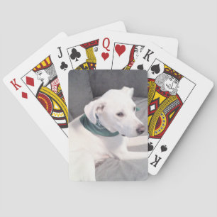 Niedlicher weißer Welpenhund mit grünem Scarf grau Spielkarten