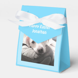 Niedlicher weißer Welpenhund mit Osterblau im Vate Geschenkschachtel
