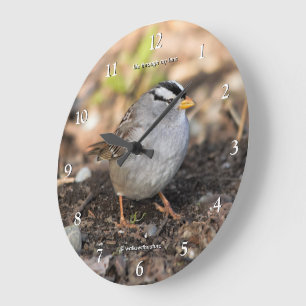 Niedlicher Weißkronenammer-Singvogel in der Winter Große Wanduhr