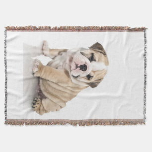 Niedlicher Welpe Bulldog Sad Decke