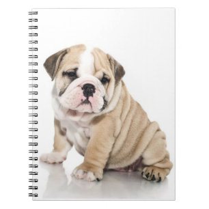 Niedlicher Welpe Bulldog Sad Notizblock