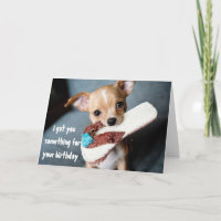 Niedlicher Welpe Chihuahua Geburtstag von Hund