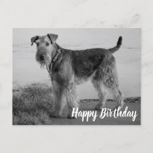 Niedlicher Welpe Hund Airedale Terrier Happy Birth Postkarte