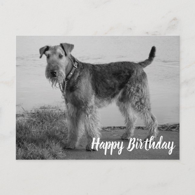 Niedlicher Welpe Hund Airedale Terrier Happy Birth Postkarte (Vorderseite)
