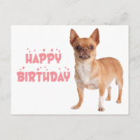 Niedlicher Welpe Hund Bday Funny Chihuahua Geburts