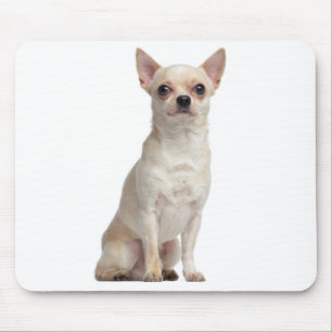 Niedlicher Welpe Hund Lover Geschenk Funny Chihuah Mousepad