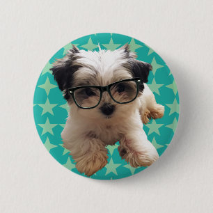 Niedlicher Welpe in den Hipster-Gläsern Button