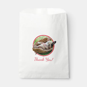 Niedlicher Welpe in einem Baseball-Mitt Geschenktütchen