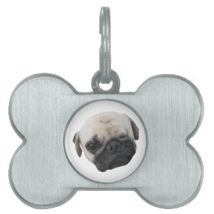Niedlicher Welpe Mops Dog Friend ... か わ い い 犬 子 Tiermarke