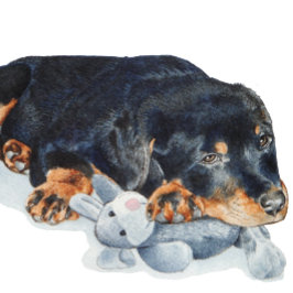 niedlicher Welpe-Rottweiler-Kuschelbär Puzzle
