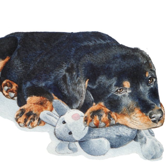 niedlicher Welpe-Rottweiler-Kuschelbär Puzzle (Von Creator hochgeladen)