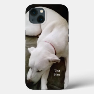 Niedlicher Welpen-Hund Labrador Mix Case-Mate iPhone Hülle