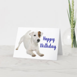 Niedlicher Welpen Hund Lover Jack Russell Terrier  Karte
