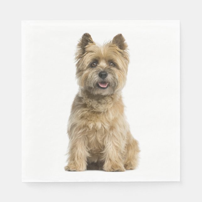 Niedlicher Welpen Hund Lover Party Cairn Terrier G Serviette (Vorderseite)