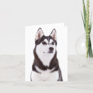 Niedlicher Welpen Hund Lover Siberian Husky Hallo Karte