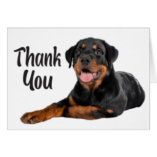 Niedlicher Welpen Hund Rottweiler Vielen Dank