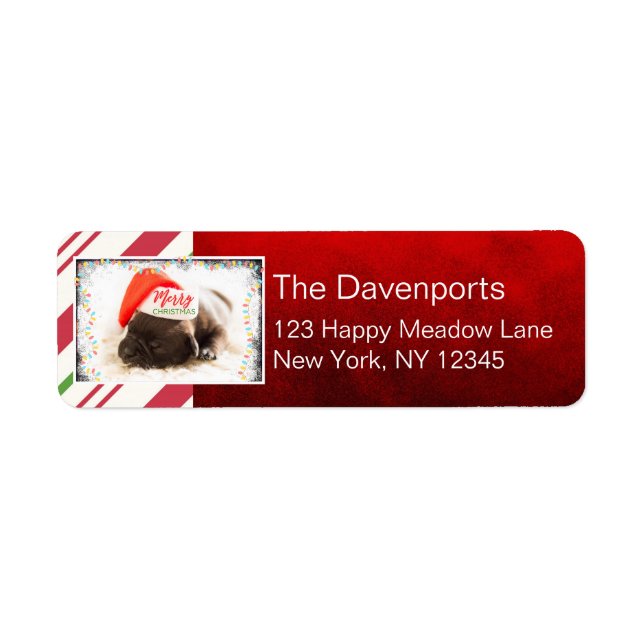 Niedlicher Welpen-Mops in einer Roten Weihnachtsma (Vorne)