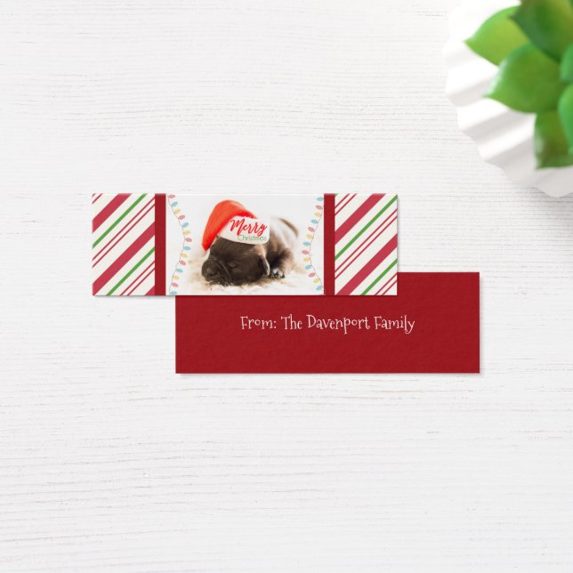 Niedlicher Welpen-Mops in einer Roten Weihnachtsma (Schreibtisch)