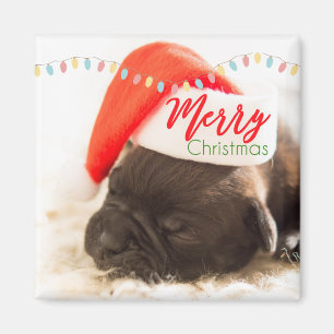 Niedlicher Welpen-Mops in einer Roten Weihnachtsma Magnet