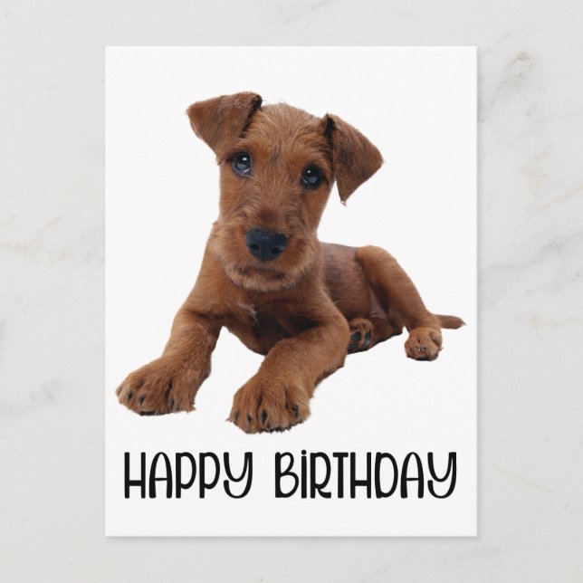 Niedlicher Welpenhund Airedale Terrier Geburtstag Postkarte (Vorderseite)