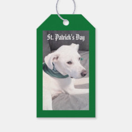 Niedlicher Welpenhund, der ein grünes und graues G Geschenkanhänger