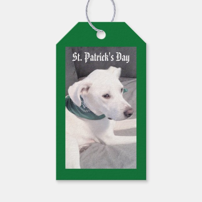 Niedlicher Welpenhund, der ein grünes und graues G Geschenkanhänger (Vorderseite)