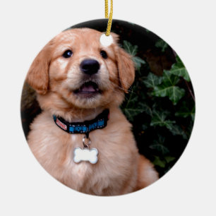 Niedlicher Welpenhund Golden Retriever Welpe Keramik Ornament