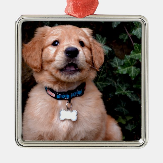 Niedlicher Welpenhund Golden Retriever Welpe Ornament Aus Metall (Vorne)
