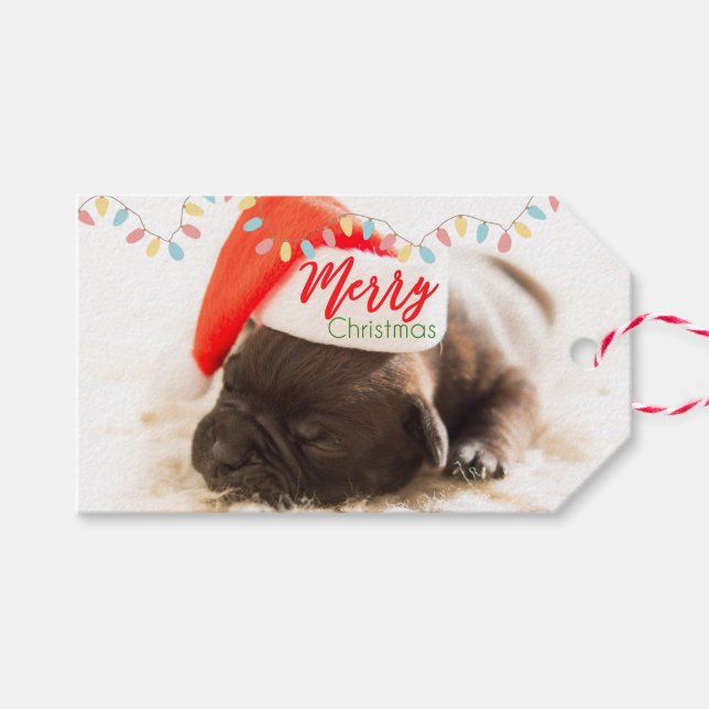 Niedlicher Welpenhund in einer Roten Weihnachtsman Geschenkanhänger (Vorderseite (Horizontal))