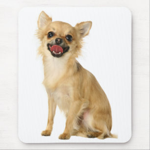 Niedlicher Welpenhund Lover Chihuahua Mousepad
