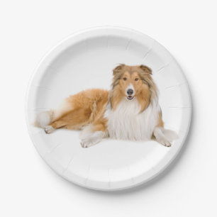 Niedlicher Welpenhund Lover Collie Pappteller