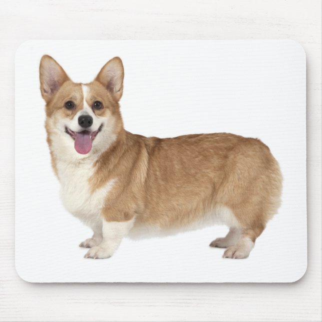 Niedlicher Welpenhund Lover Geschenk Pembroke Wels Mousepad (Vorne)
