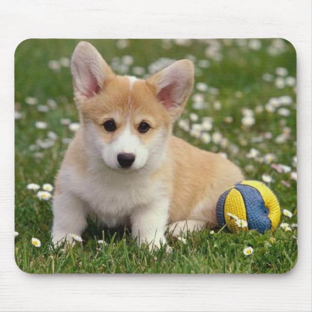 Niedlicher Welpenhund Lover Geschenk Pembroke Wels Mousepad (Vorne)