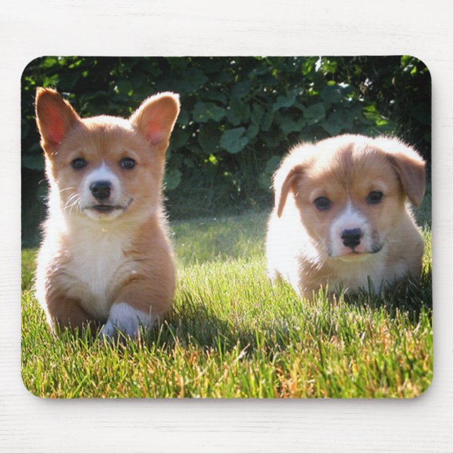 Niedlicher Welpenhund Lover Geschenk Pembroke Wels Mousepad (Vorne)