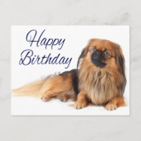 Niedlicher Welpenhund Lover Pekinese Geburtstag