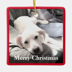 Niedlicher Welpenhund mit Vater Square Red und Gre Keramikornament