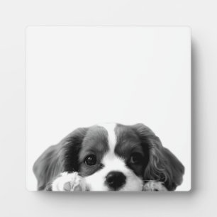 Niedlicher Welpenhund Schwarz-Weiß-Minimalistische Fotoplatte