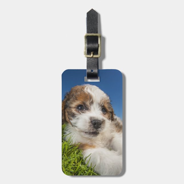 Niedlicher Welpenhund (Shitzu) Gepäckanhänger (Vorderseite vertikal)