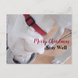 Niedlicher Welpenhund trinkt Wasser Weihnachten Ro Postkarte
