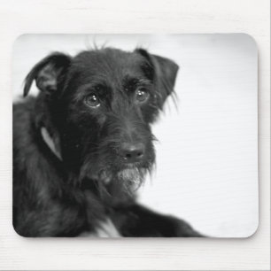 Niedlicher Welpeschnauzer-Terrier Schwarz-weißes Mousepad