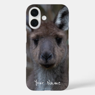 Niedlicher Western Gray Kangaroo Gesicht Nah-up Au iPhone 16 Hülle