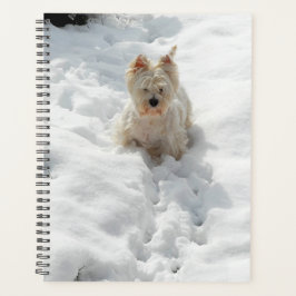 Niedlicher Westie Hund im Schneeplaner Planer