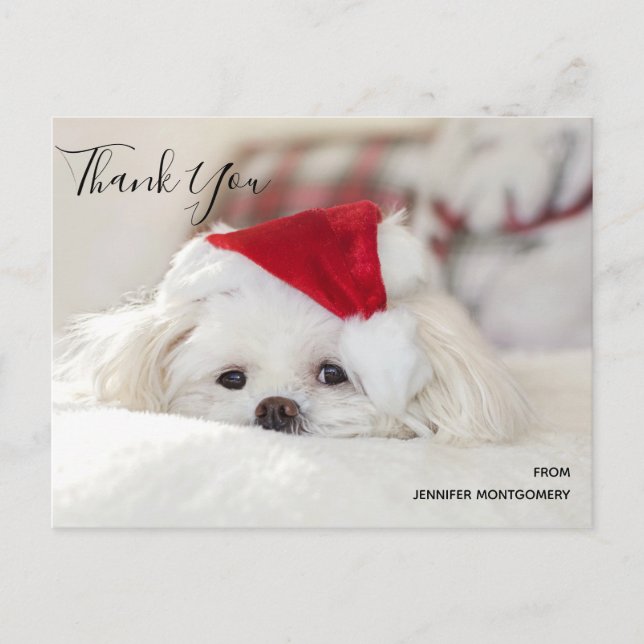 Niedlicher White Dog in einem Red Christmas Hat Da Postkarte (Vorderseite)