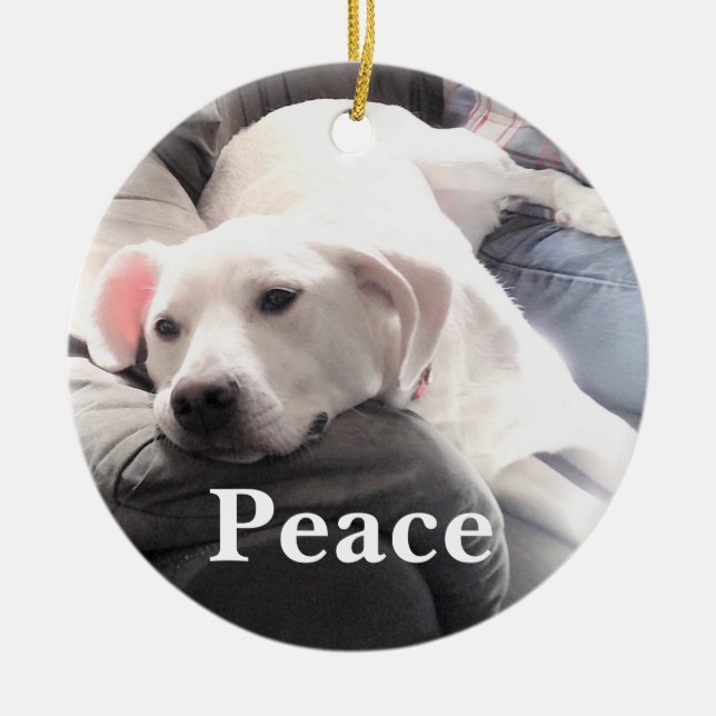 Niedlicher White Dog Peace Keramik Ornament (Vorne)