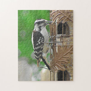 Niedlicher Woodpecker bei Birdfeeder Puzzle