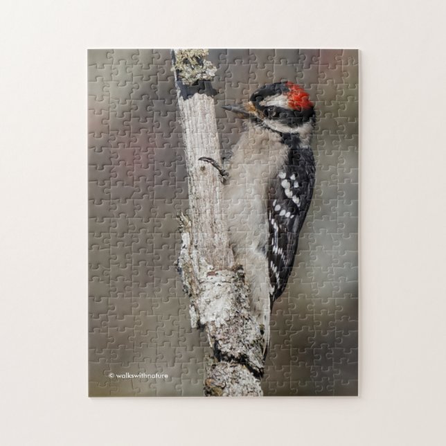 Niedlicher Woodpecker-Vogel auf Zweigstelle Puzzle (Vertikal)